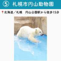 【北海道】行ってよかった札幌の観光地7選