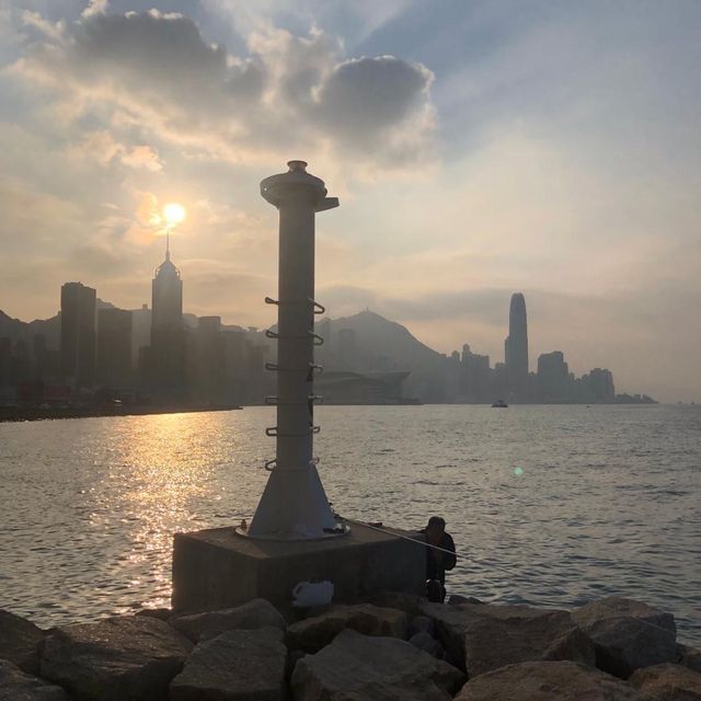 市區休閒好地方🏕港島景色盡收眼簾👀