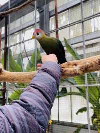 【掛川花鳥園】「花と鳥とのふれあい」が楽しめるテーマパーク