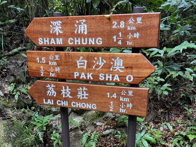 前往出發荔枝莊，享受寧靜香港另一面