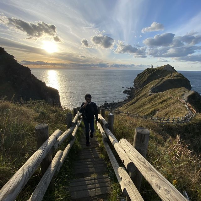 【北海道】海と山が絶景の神威岬