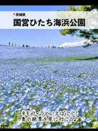 絶景！GWが見頃のお花畑スポット7選