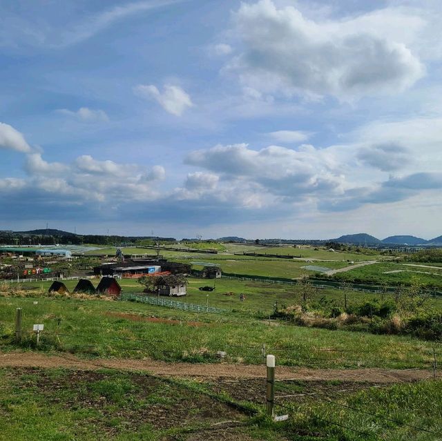 제주 새별 오름 가봤습니다.