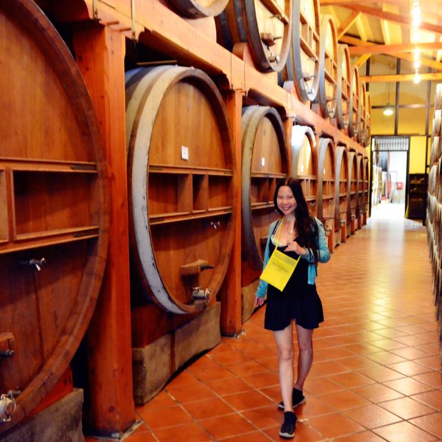  意大利 西西里島🔶 Marsala 🍷Cantine Pellegrino