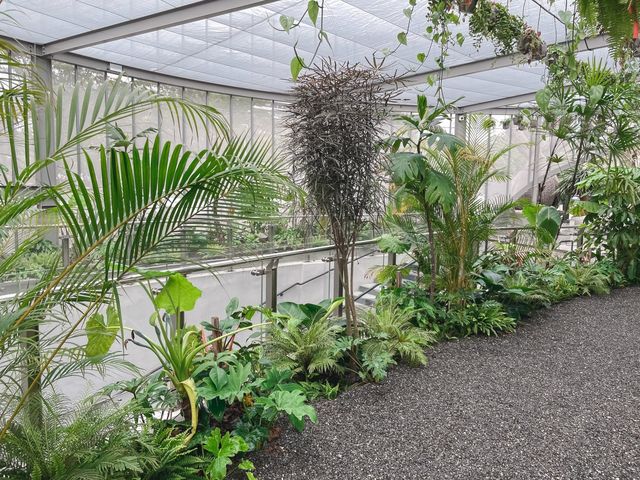 PARK2草悟廣場～這是沙漠中的綠洲｜滿滿植物樂園升級網美景點｜拍好拍滿親子好去處