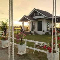 homestay in the middle of padi farm
