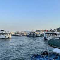 香港🇭🇰海鮮🦞必去之地‼️西貢超正海鮮餐