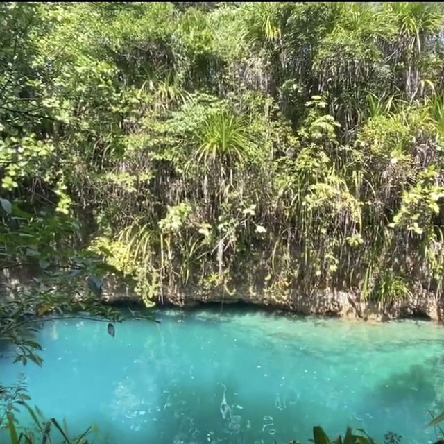 The Magical Story of Hinatuan Enchanted River