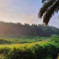 Exploring The National Park Of Rompin