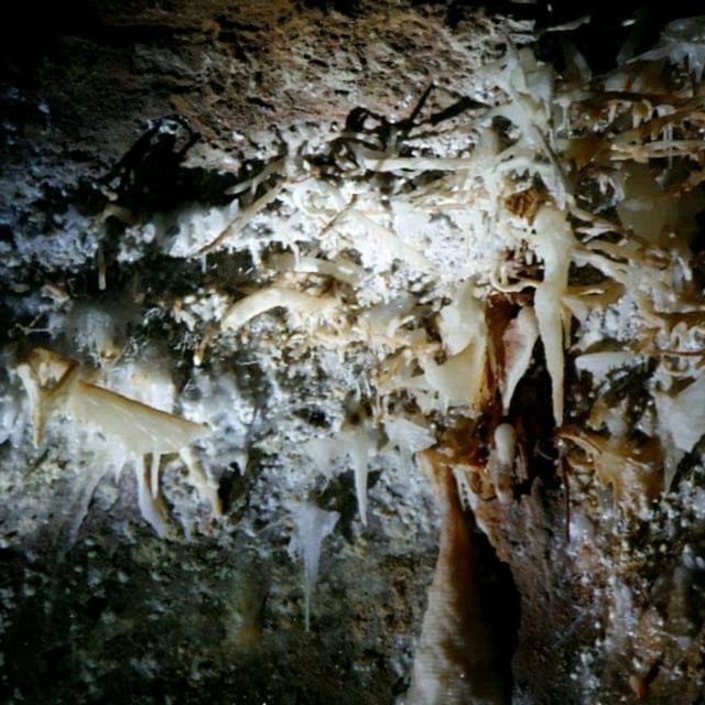 The Limestone Cave In Sydney