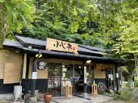 【熊本】阿蘇ドライブの際に馬刺し丼