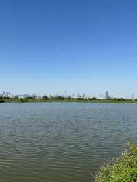 📍元朗朗屏｜欣賞魚塘及深圳skyline