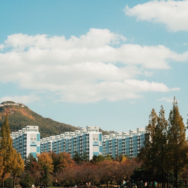 김해에도 거대한 오리가떳다!!