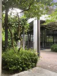 Buildings with lush greens!