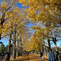 ゆっくり紅葉を楽しめる公園