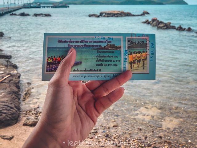 🏖🐠 One day trip @เกาะแสมสาร ชลบุรี