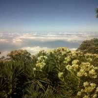 CIREMAI MOUNTAIN : MAJALENGKA