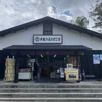 【静岡】歴史ある"三嶋大社"に行ってきました👀