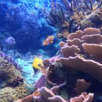 【週末の旅】鳥羽水族館