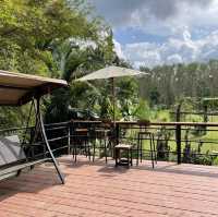 จิบกาแฟ ชมสัตว์ บ้านสวนกวาง โฮมสเตย์&คาเฟ่ พัทลุง