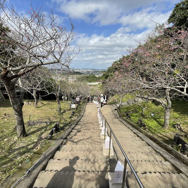 日本一早い桜祭り【やえせ桜まつり】