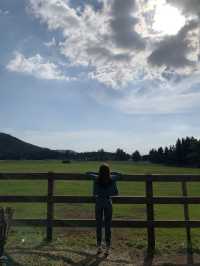[성이시돌목장] 이국적인 제주 목장🐴