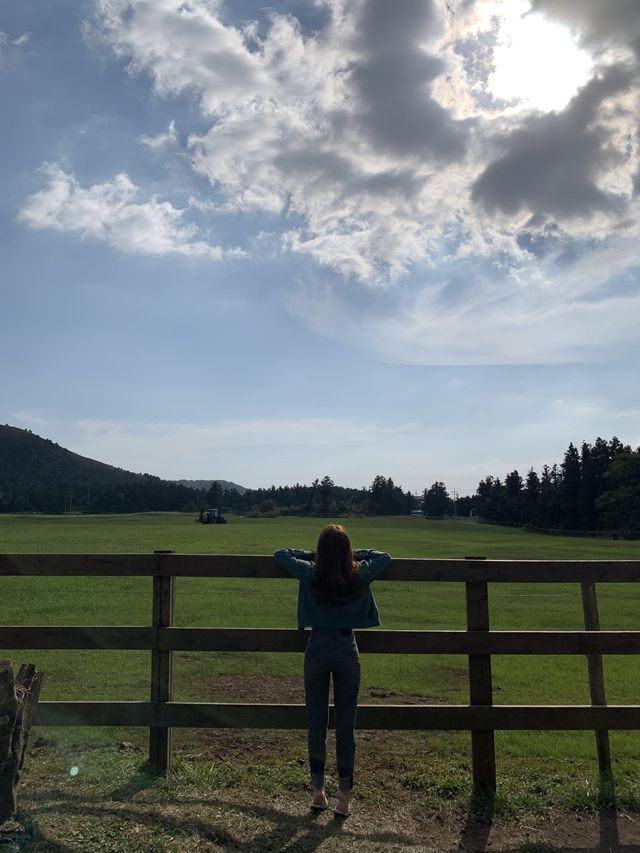 [성이시돌목장] 이국적인 제주 목장🐴