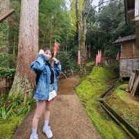 国指定登録有形文化財【青林寺客殿　御便殿　御座所】✨