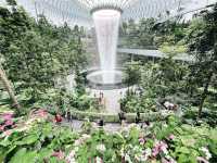 Forest garden trail within Jewel Changi