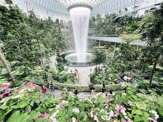 Forest garden trail within Jewel Changi