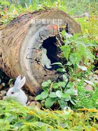 走進童話世界