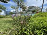 Rooftop gardens