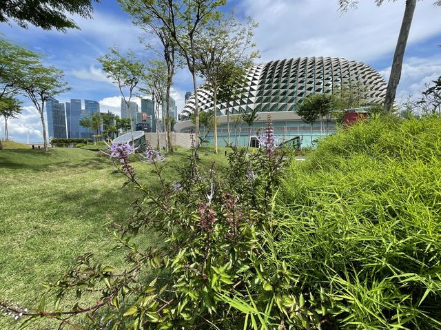 Rooftop gardens