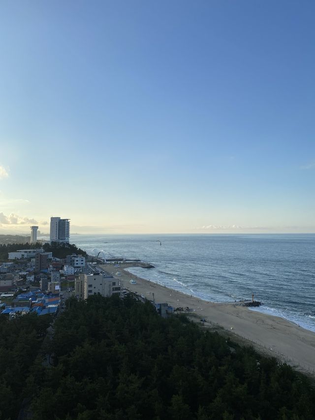 오션뷰 호텔에서 호캉스🌊💫