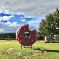 심슨의 동네🍩 뉴질랜드에도 스프링필드가 있다!🇳🇿
