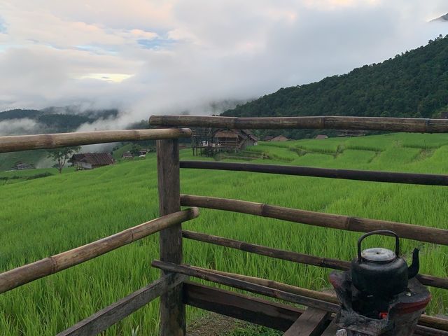 ป่าบงเปียง นาขั้นบันไดที่สวยที่สุดในไทย 🍃