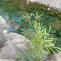 Pinaglabanan River the Enchanted River