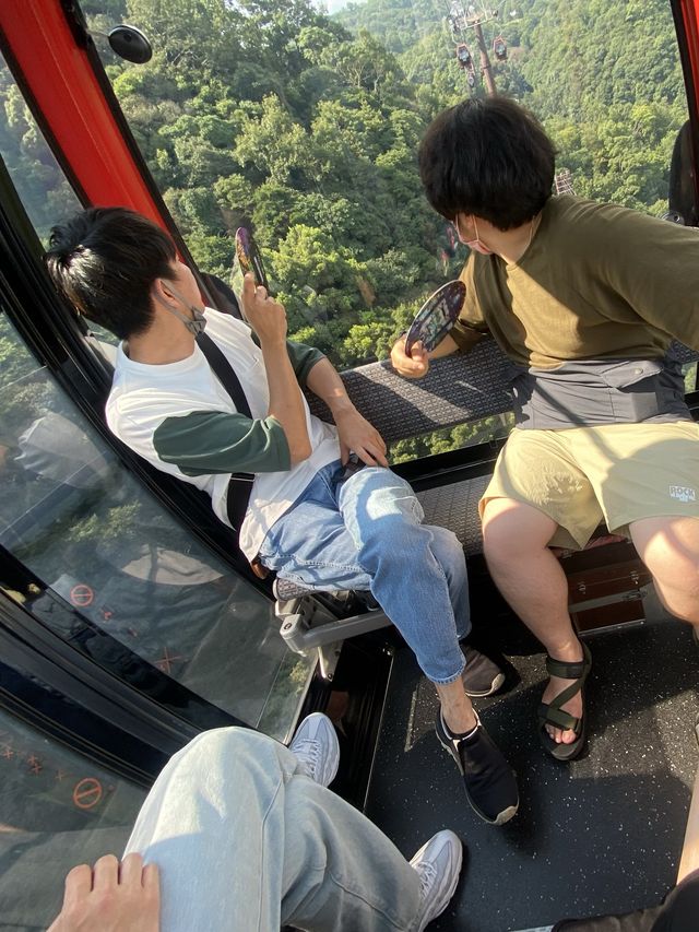 【兵庫・神戸】神戸布引ハーブ園でお散歩