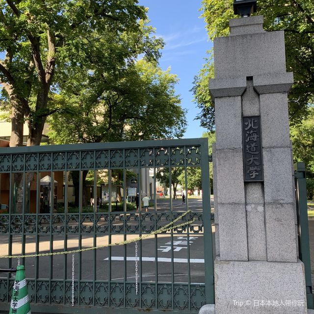 秋空オススメお散歩コース🚶北海道大学