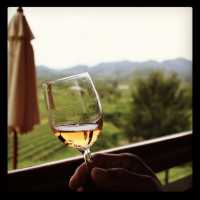 Monsoon Valley Vineyard HuaHin