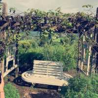 Coffe in Love Restaurant and Viewpoint