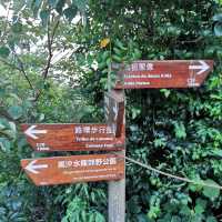 Hiking in time Coloane Trail (8100m)