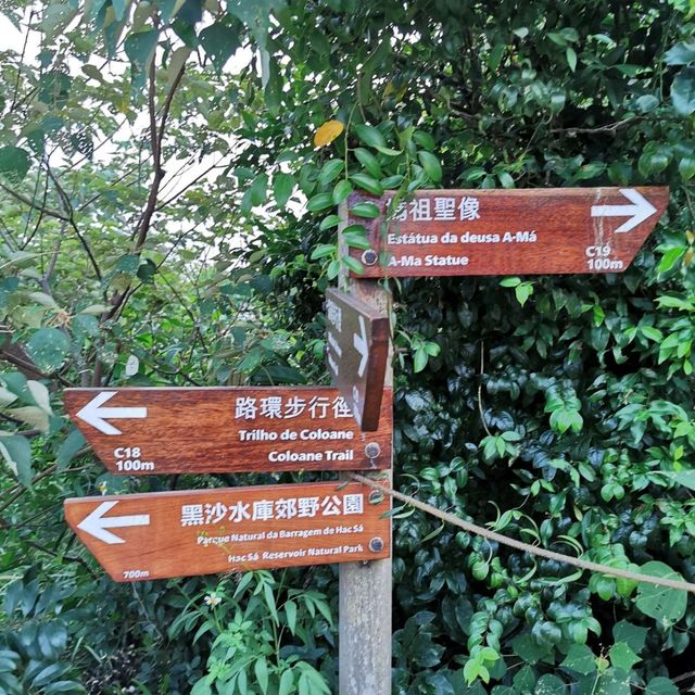 Hiking in time Coloane Trail (8100m)