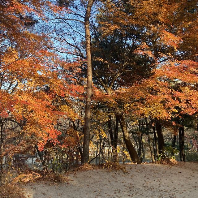 Spectacular view of Secret Garden in Autumn