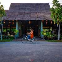ที่พักเชียงดาว นอนชิล ฟิลธรรมชาติ