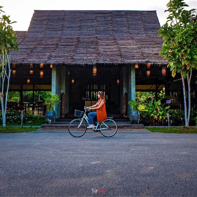 ที่พักเชียงดาว นอนชิล ฟิลธรรมชาติ