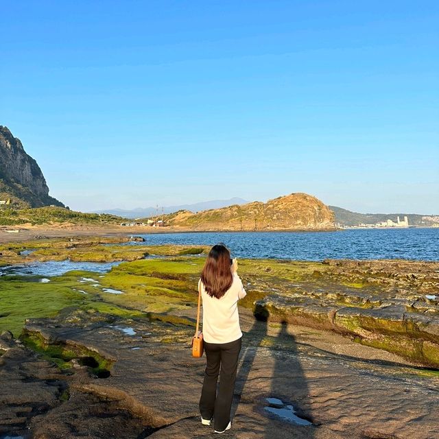 제주 서귀포시 사계해변🌊
