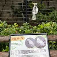 同小朋友去睇動物🤓