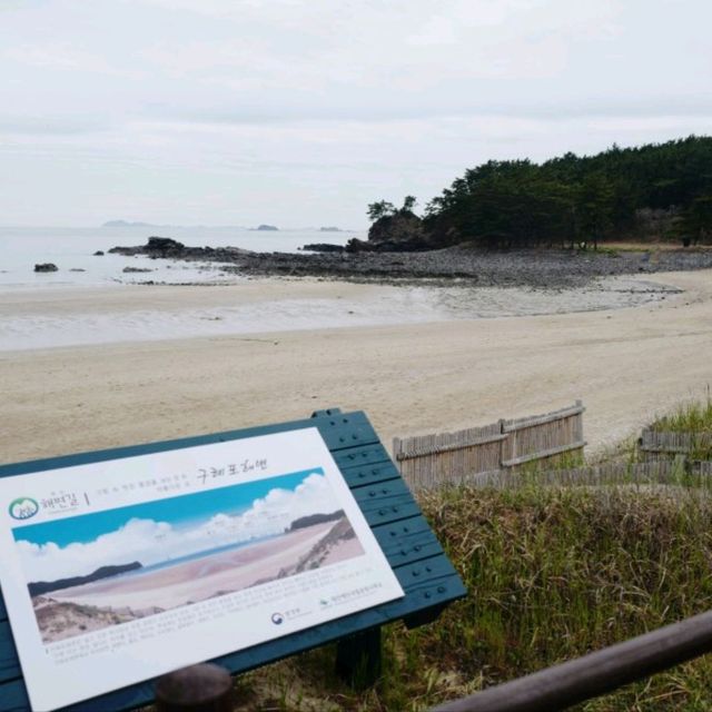 몽산포 오토 캠핑장