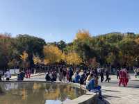 『大阪城公園』の『噴水広場』周辺